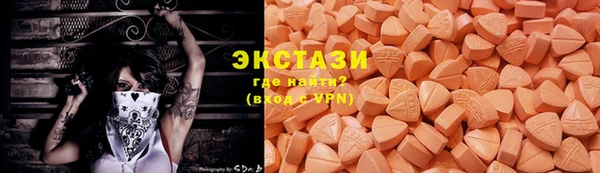 ECSTASY Богородицк