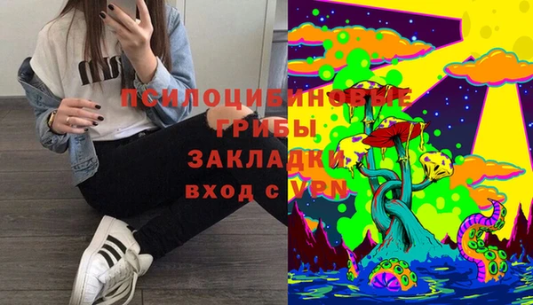 стаф Губаха