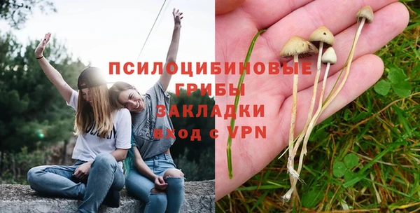 гашишное масло Осинники