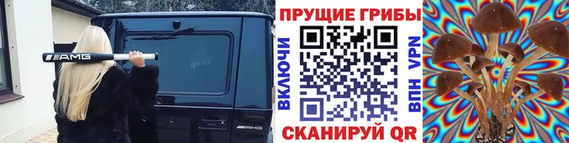 OMG ТОР  наркошоп  Соликамск  Галлюциногенные грибы прущие грибы 